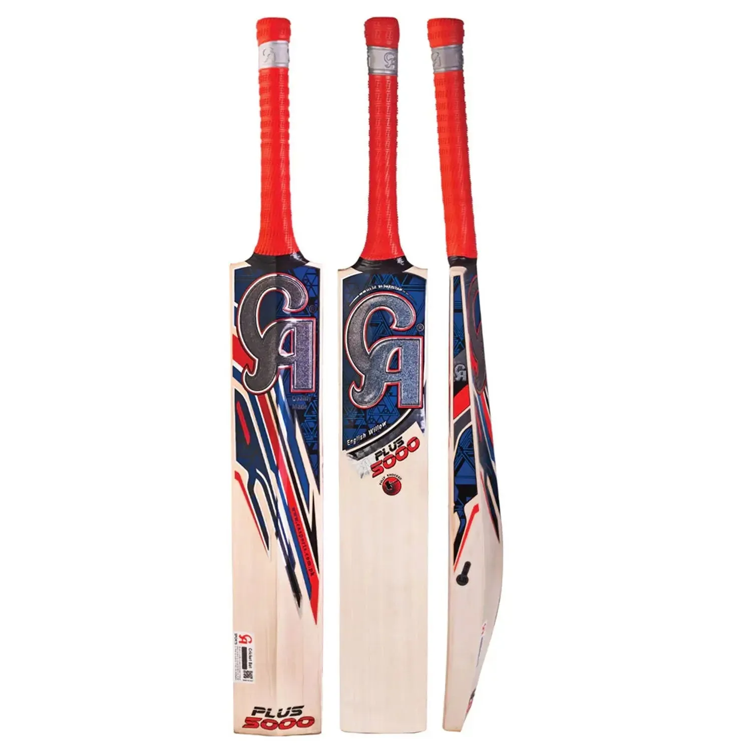 DS 1.0 Mens Cricket Batting Set with bat
