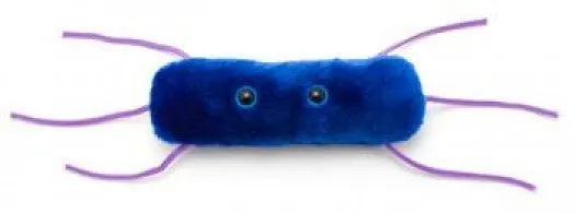 Listeria (Listeria monocytogenes) - GIANTmicrobes® Plush Toy